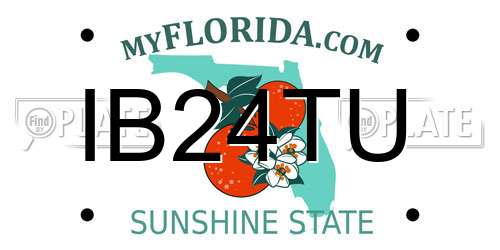 IB24TU Florida License Plate