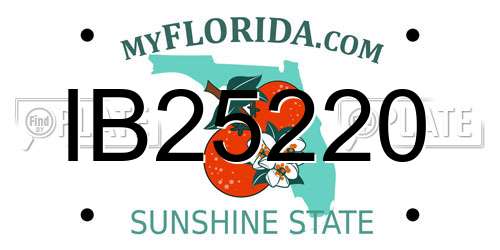 IB25220 Florida License Plate