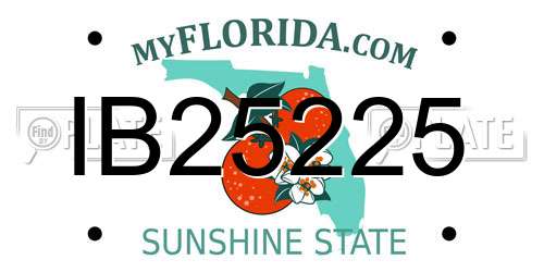 IB25225 Florida License Plate