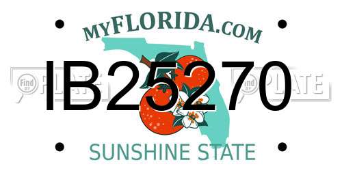 IB25270 Florida License Plate