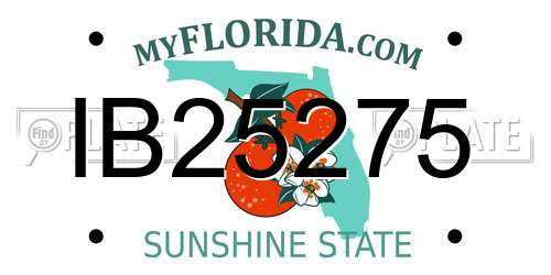 IB25275 Florida License Plate