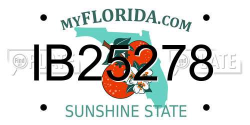 IB25278 Florida License Plate