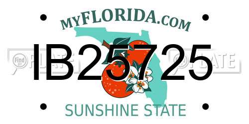 IB25725 Florida License Plate