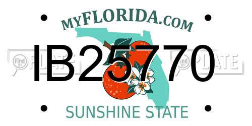 IB25770 Florida License Plate