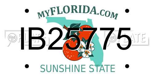 IB25775 Florida License Plate
