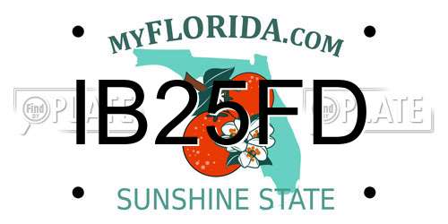 IB25FD Florida License Plate