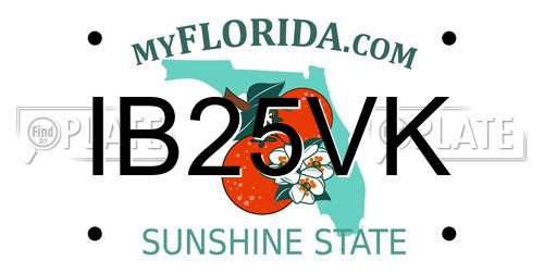 IB25VK Florida License Plate