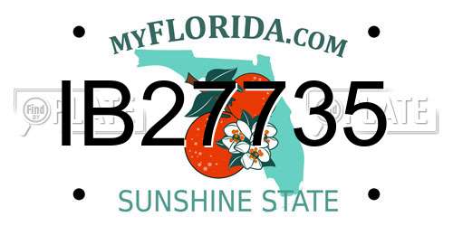 IB27735 Florida License Plate