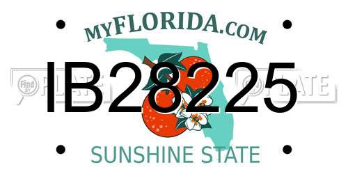IB28225 Florida License Plate
