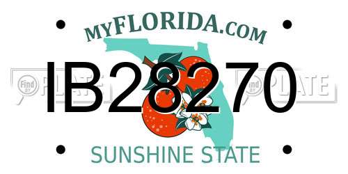 IB28270 Florida License Plate