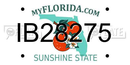 IB28275 Florida License Plate