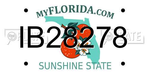 IB28278 Florida License Plate