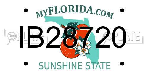 IB28720 Florida License Plate