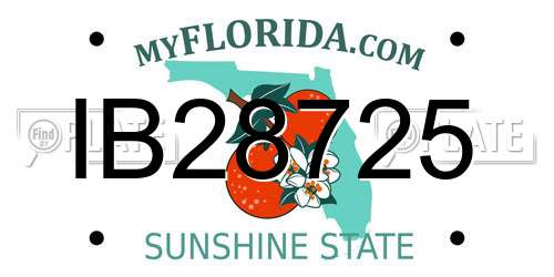 IB28725 Florida License Plate