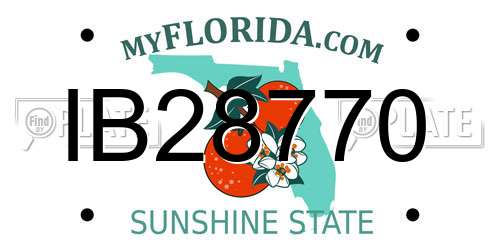 IB28770 Florida License Plate