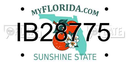 IB28775 Florida License Plate