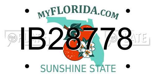 IB28778 Florida License Plate