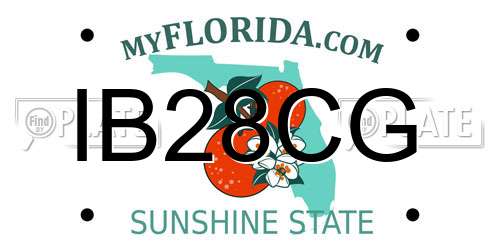 IB28CG Florida License Plate