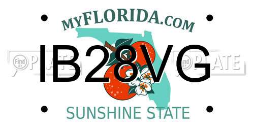 IB28VG Florida License Plate