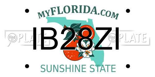 IB28ZI Florida License Plate