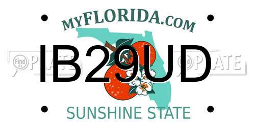 IB29UD Florida License Plate