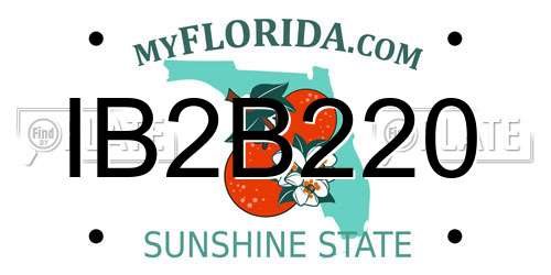 IB2B220 Florida License Plate