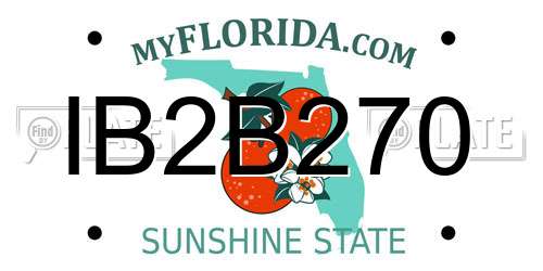 IB2B270 Florida License Plate