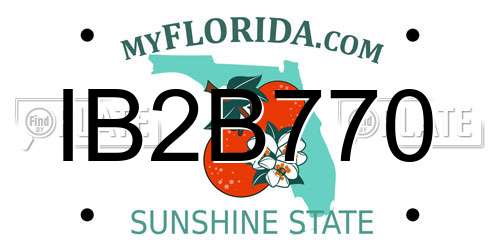 IB2B770 Florida License Plate