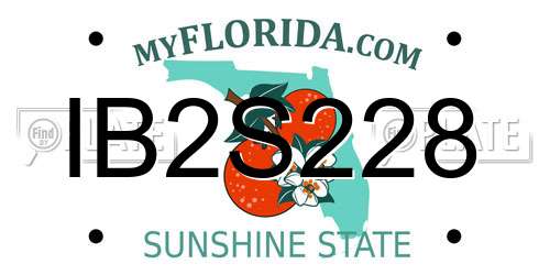IB2S228 Florida License Plate