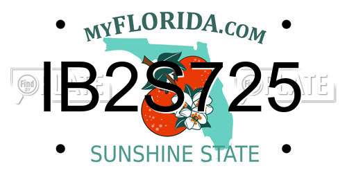 IB2S725 Florida License Plate