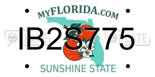 IB2S775 Florida License Plate