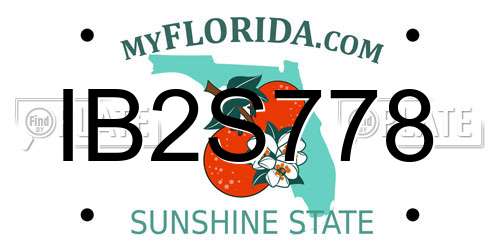 IB2S778 Florida License Plate