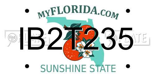 IB2T235 Florida License Plate