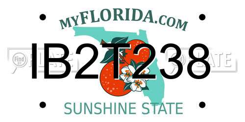 IB2T238 Florida License Plate