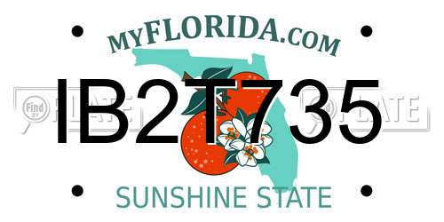IB2T735 Florida License Plate