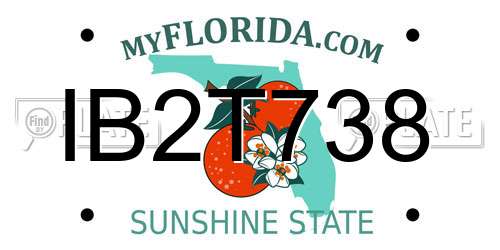 IB2T738 Florida License Plate