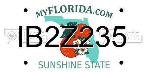 IB2Z235 Florida License Plate
