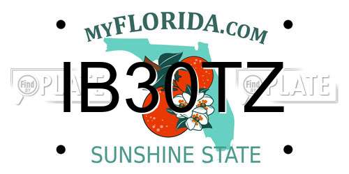 IB30TZ Florida License Plate