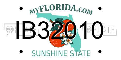 IB32010 Florida License Plate
