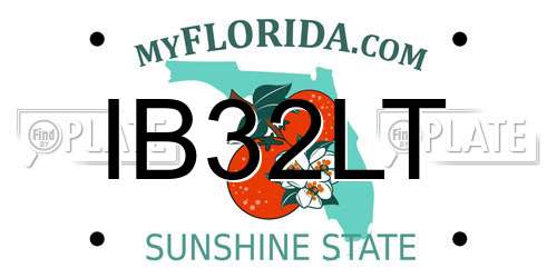 IB32LT Florida License Plate