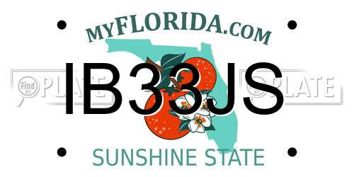 IB33JS Florida License Plate