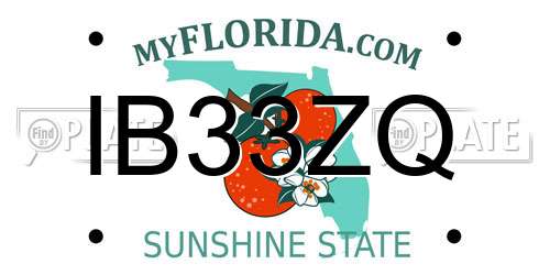 IB33ZQ Florida License Plate