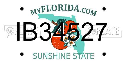 IB34527 Florida License Plate