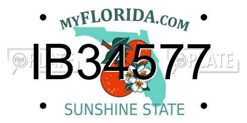 IB34577 Florida License Plate