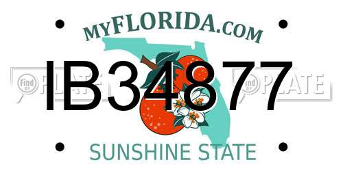 IB34877 Florida License Plate