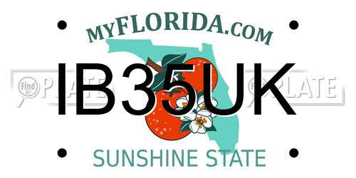 IB35UK Florida License Plate