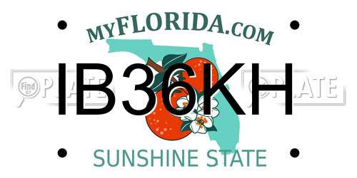 IB36KH Florida License Plate