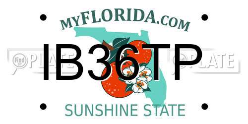 IB36TP Florida License Plate