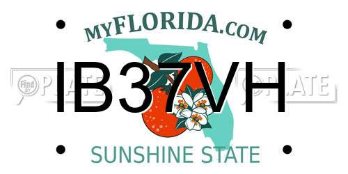 IB37VH Florida License Plate