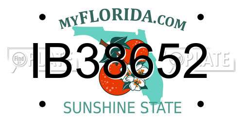 IB38652 Florida License Plate